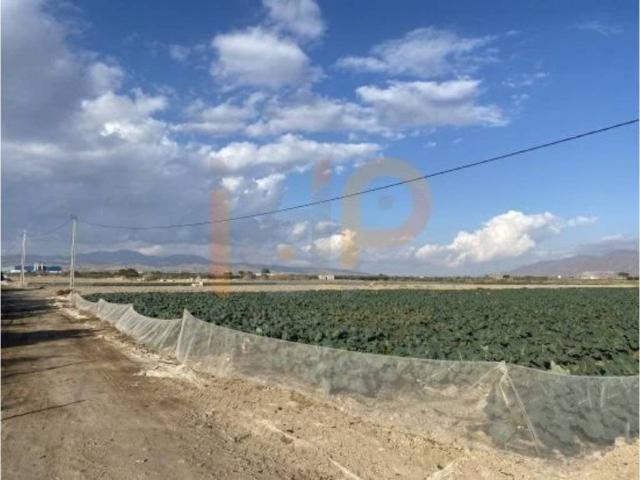 Terreno en Venta en Huércal Overa