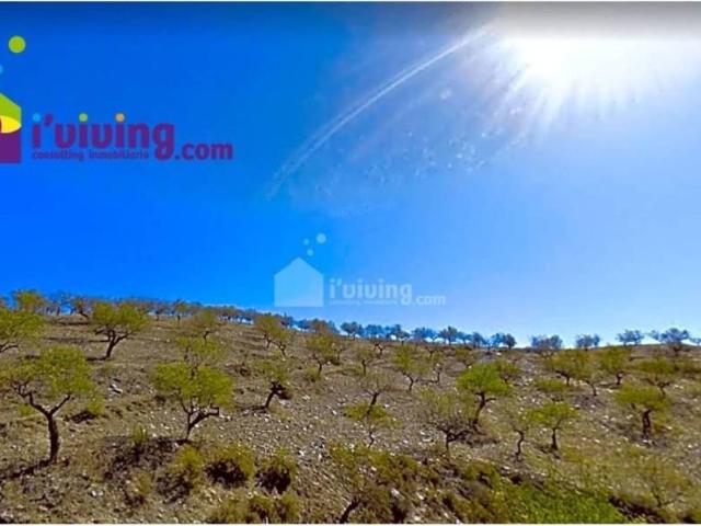 Terreno en Venta en Huércal Overa