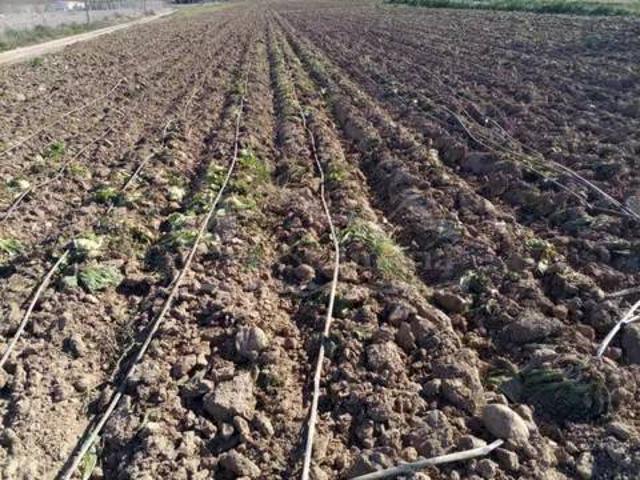 Terreno en Venta en Huércal Overa