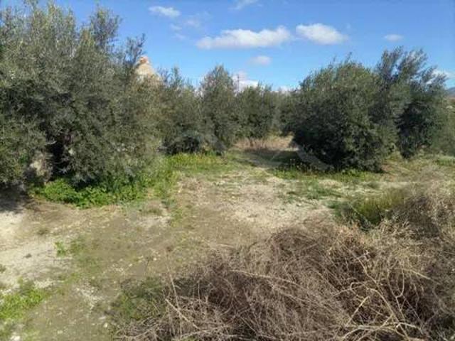 Terreno en Venta en Huércal Overa