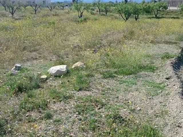 Terreno en Venta en Huércal Overa