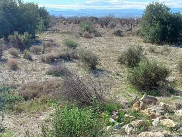 Terreno en Venta en Huércal Overa