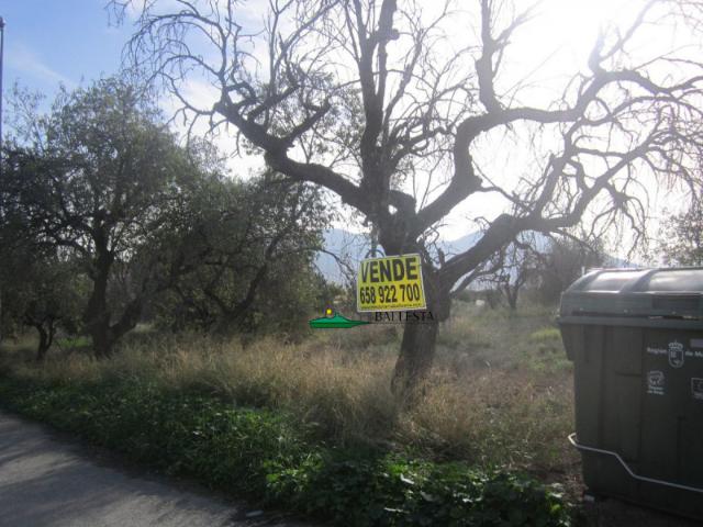 Terreno en venta en Huércal Overa, Gonar / Huercal Overa