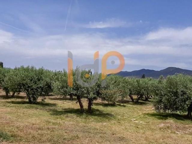 Terreno en venta en Huércal Overa, San Francisco