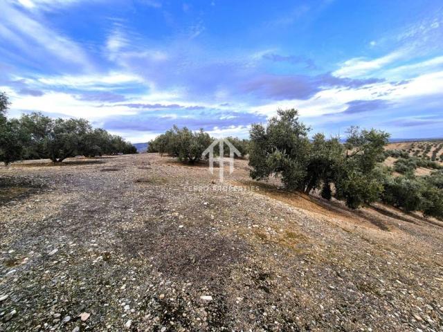 Terreno en Venta en Huétor Tájar