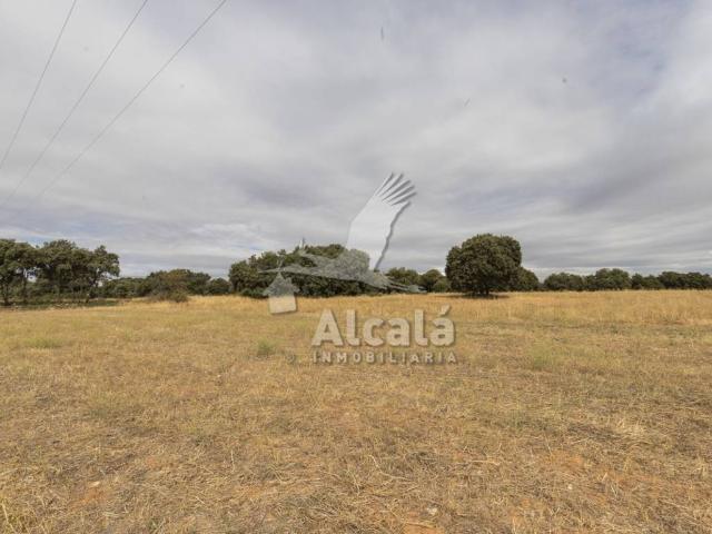 Terreno en Venta en Hueva