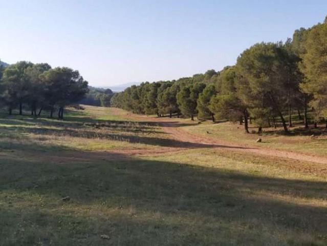 Terreno en venta en Humilladero, Humilladero