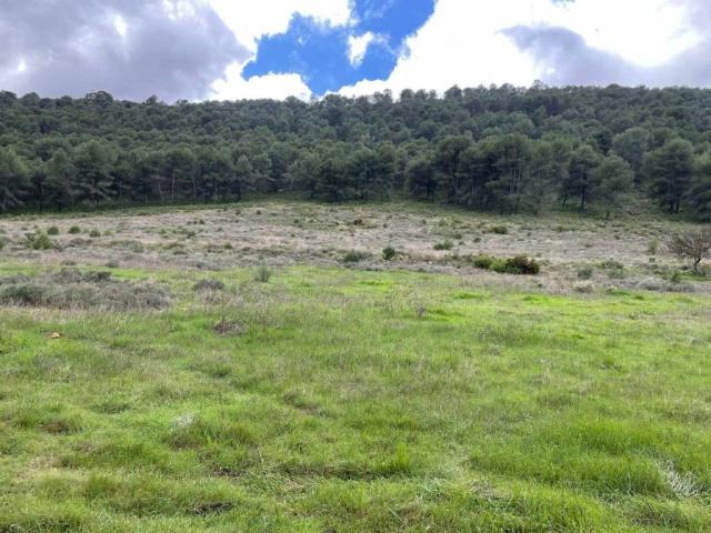 Terreno en Venta en Humilladero