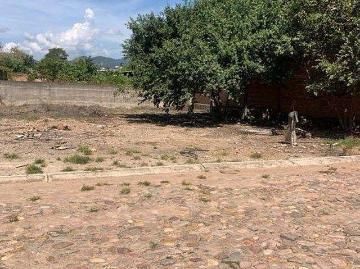Terreno en Venta en Hacienda del Río Mascota Jalisco | cerca de La Alameda