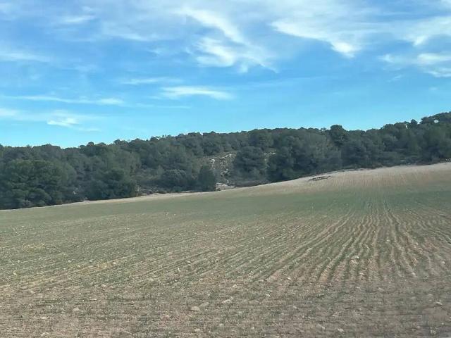 Terreno en Venta en Hellín