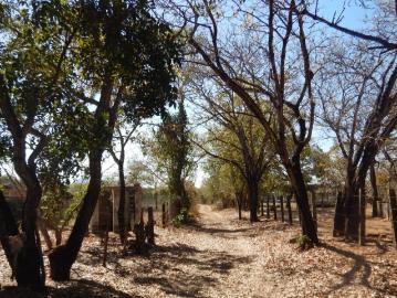 Terreno en Venta en Heroico Batallón de San Blas La Noria