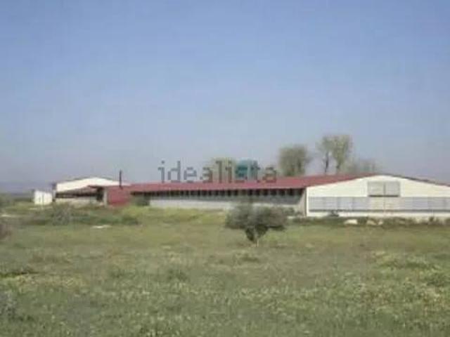Terreno en Venta en Herencia