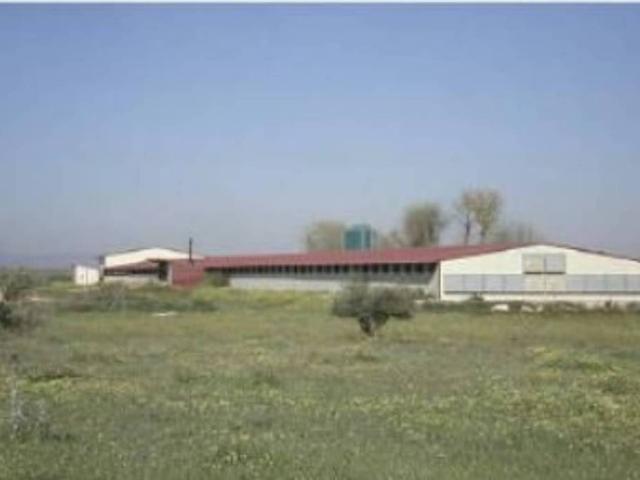 Terreno en Venta en Herencia