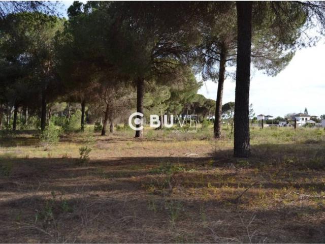 Terreno en Venta en Hinojos
