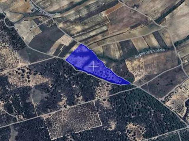 Terreno en Venta en Hinojos