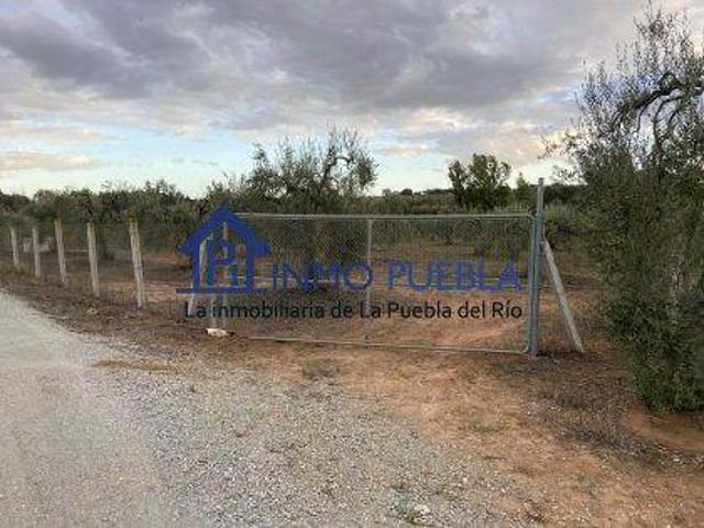Terreno en venta en Hinojos, Hinojos