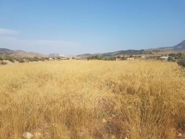 Terreno en venta en Hondon de las Nieves, Partisa la solana