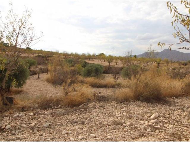 Terreno en Venta en Hondón de los Frailes