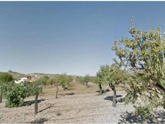 Terreno en Venta en Hondón de los Frailes