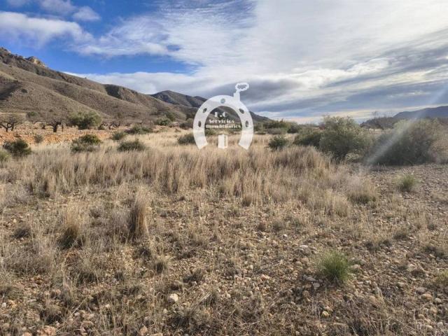 Terreno en Venta en Hondón de los Frailes