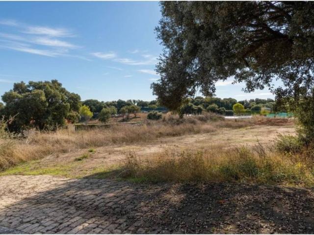 Terreno en Venta en Hontoba