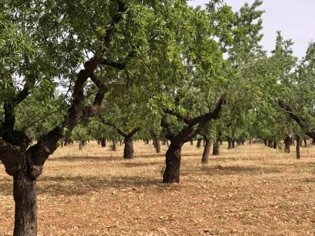 Terreno en Venta en Horta de Sant Joan