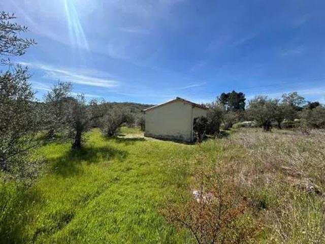 Terreno en Venta en Hoyos