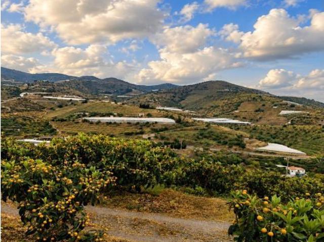 Terreno en venta en Ítrabo