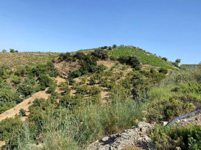 Terreno en Venta en Ítrabo