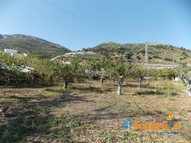 Terreno en Venta en Ítrabo