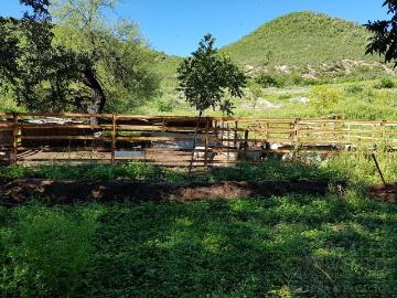Terreno En Venta En San Antonio De Peñitas, Iturbide
