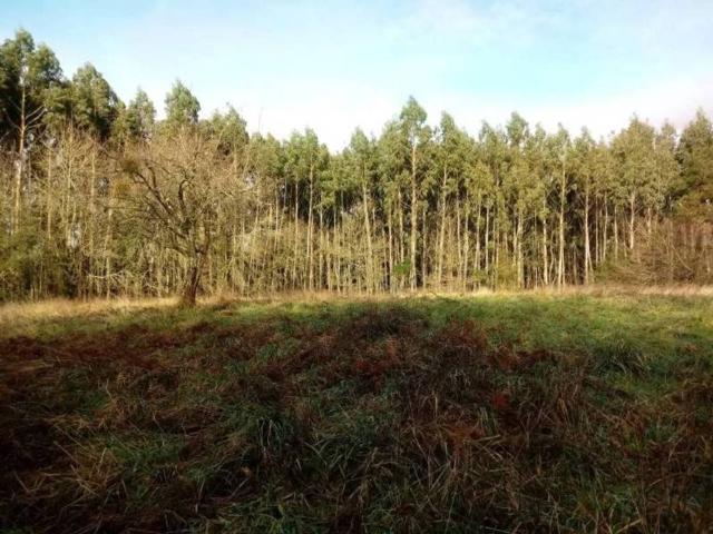 Terreno en Venta en Iurreta