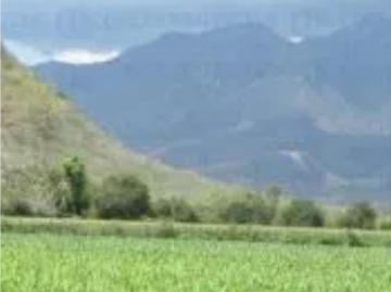 Terreno en venta en Ixtlahuacan, Ixtlahuacán, Colima