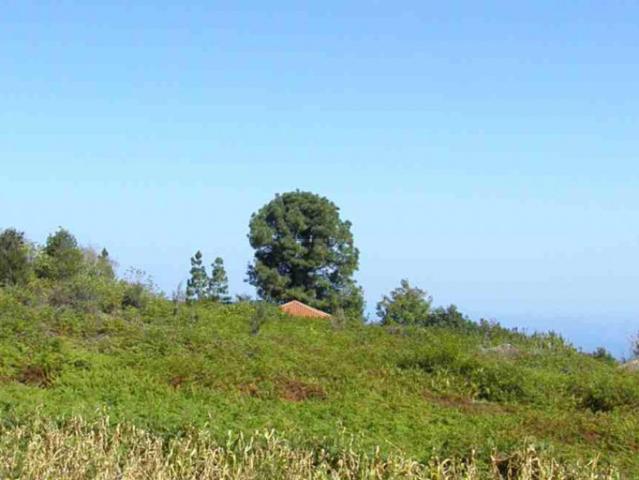 Terreno en venta en Icod de los Vinos, La Vega