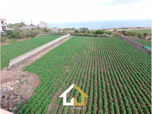 Terreno en Venta en Icod de Los Vinos