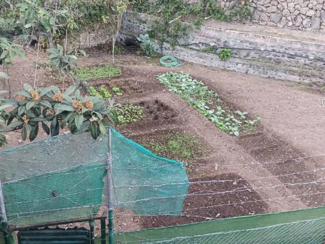 Terreno en Venta en Icod de Los Vinos