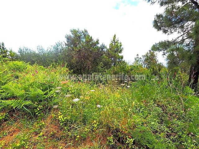Terreno en venta, en Icod de los Vinos