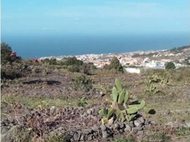 Terreno en Venta en Icod de Los Vinos