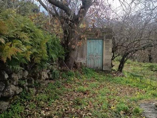 Terreno en Venta en Icod de Los Vinos