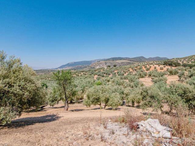 Terreno en Venta en Íllora
