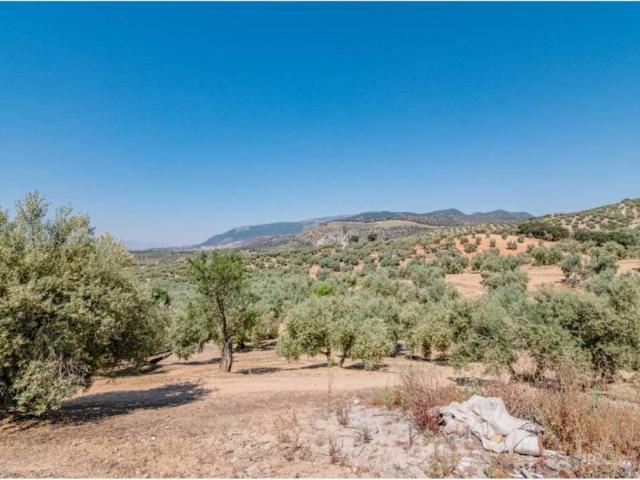 Terreno en Venta en Íllora