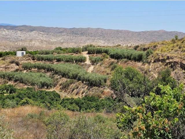 Terreno en Venta en Íllar
