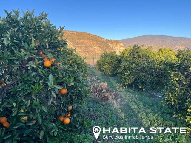 Terreno en Venta en Íllar