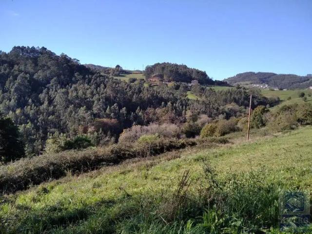 Terreno en Venta en Illas