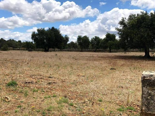 Terreno en Venta en Inca