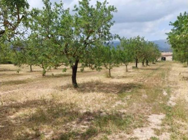 Terreno en Venta en Inca