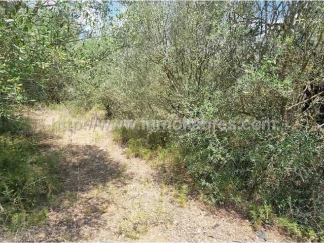 Terreno en Venta en Inca
