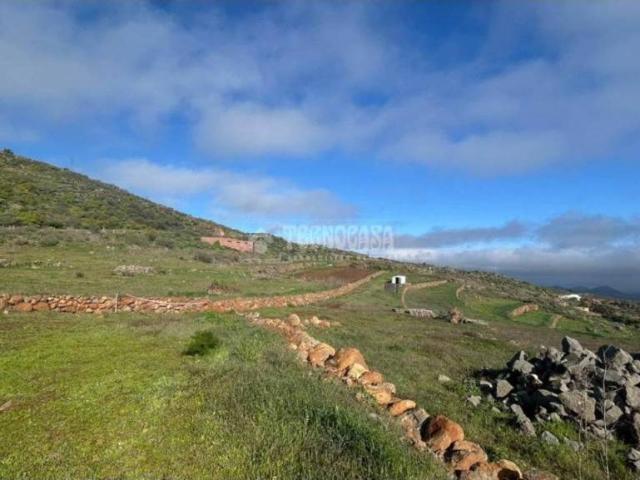 Terreno en Venta en Ingenio