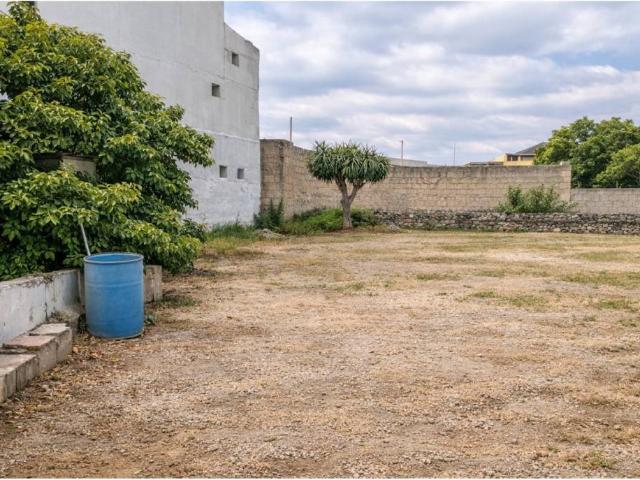 Terreno en Venta en Ingenio