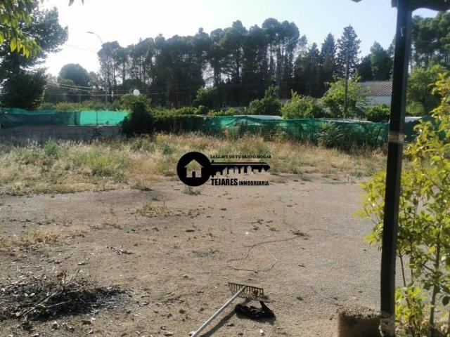 Terreno en Venta en Ingenio